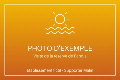 Visite de la réserve de Bandia