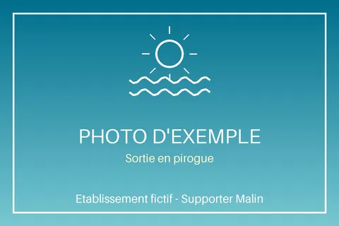 Activité Exemple